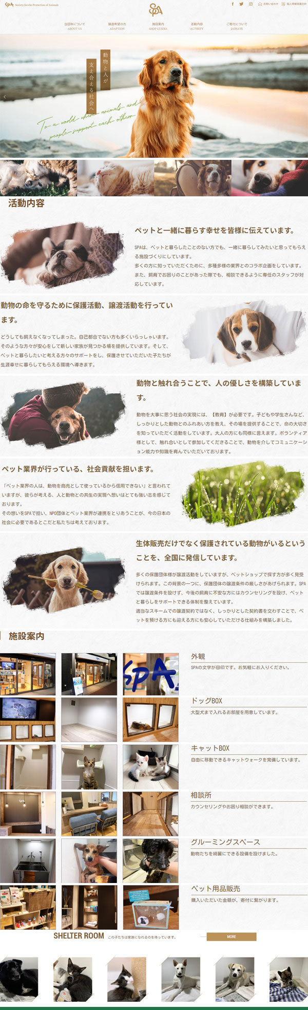 環境保護網站建設