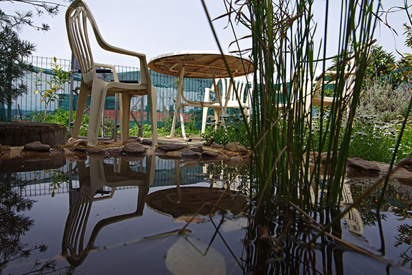 生態(tài)生活網(wǎng)站建設(shè)